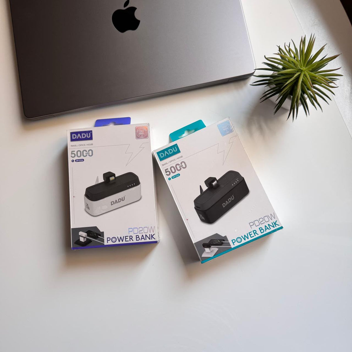 DADU PD20W Power Bank(Code DDA77)